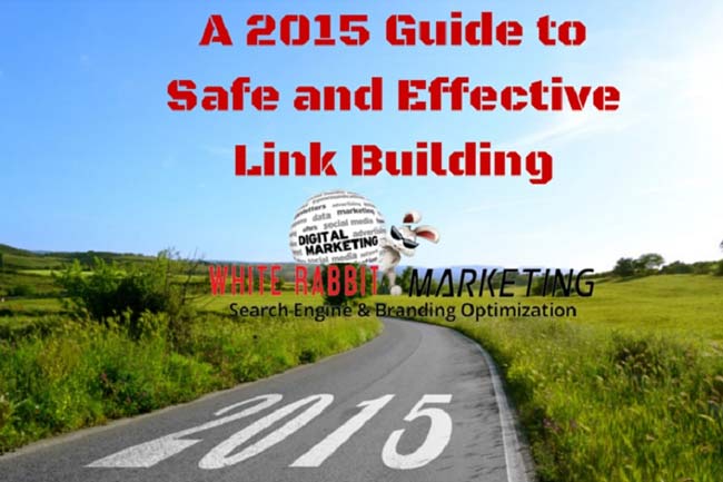 A 2015 Guide to Safe and Effective Link