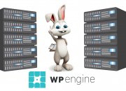 Why Businesses with WordPress Sites Should Consider WP Engine (A Totally Biased Review)