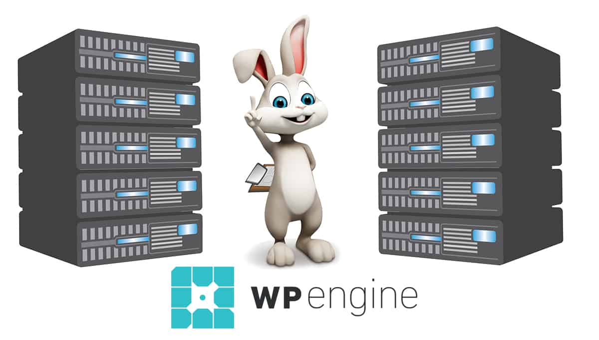 Why Businesses with WordPress Sites Should Consider WP Engine (A Totally Biased Review)