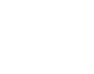 Prior Law FRirm Logo